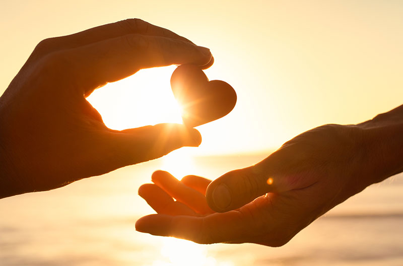 donate to Mind Forward